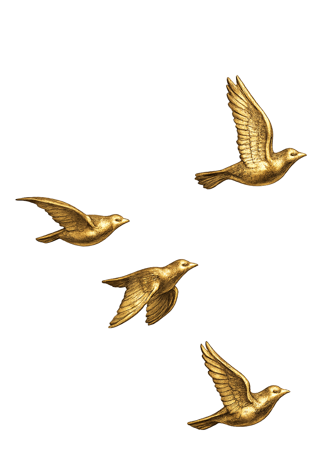 Dove